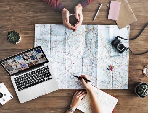 Step 1 – Before your trip: Planning your responsible safari to Africa